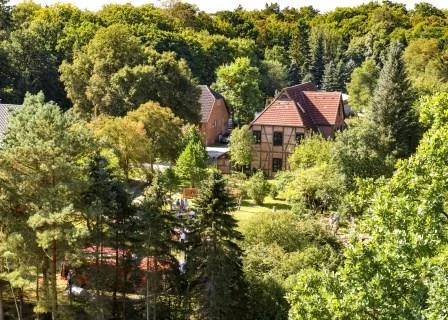 Rostocker Heide (c)TMV_Ullrich