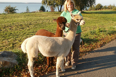 Gästeführerin Cornelia Schnippa mit ihren Alpakas vor dem Geierswalder See