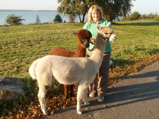 Gästeführerin Cornelia Schnippa mit ihren Alpakas vor dem Geierswalder See