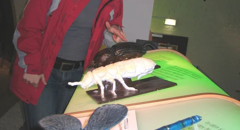 Barrierefreie Nationalpark-Tore