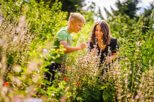 Im Sinnesgarten im Naturpark Stechlin-Ruppiner Land laden viele Kräuter, Sträucher und andere Pflanzen zum Schmecken, Riechen, Fühlen und Hören ein. Im Sinnesgarten im Naturpark Stechlin-Ruppiner Land laden viele Kräuter, Sträucher und andere Pflanzen zum Schmecken, Riechen, Fühlen und Hören ein.