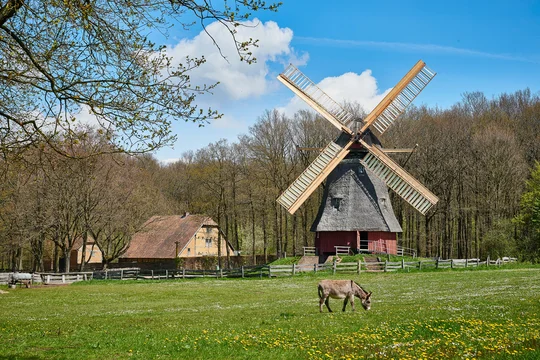 Leben wie vor 100 Jahren: Im LVR-Freilichtmuseum Kommern gibt es altes Fachwerk, zutrauliche Hoftiere und authentisches Landleben zu bewundern. Ein Esel steht auf einer Weide, im Hintergrund eine alte Mühle und Häuser