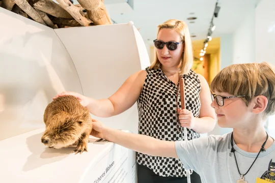In der Erlebnisausstellung „Wildnis(t)räume“ im historischen Forum Vogelsang IP in Schleiden ist Anfassen erwünscht. In der Erlebnisausstellung „Wildnis(t)räume“ im historischen Forum Vogelsang IP in Schleiden ist Anfassen erwünscht.
