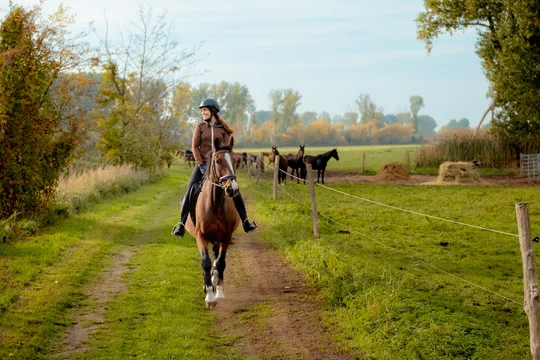 Ausritt © Yannic Schuster, Cineastik Filmproduktion, Gefördert aus Mitteln des Bundes und des Landes Brandenburg im Rahmen der Gemeinschaftsaufgabe: „Verbesserung der regionalen Wirtschaftsstruktur“ – GRW-Infrastruktur" Eine Person reitet auf einem Pferd, im Hintergrund Koppel und weitere Pferde