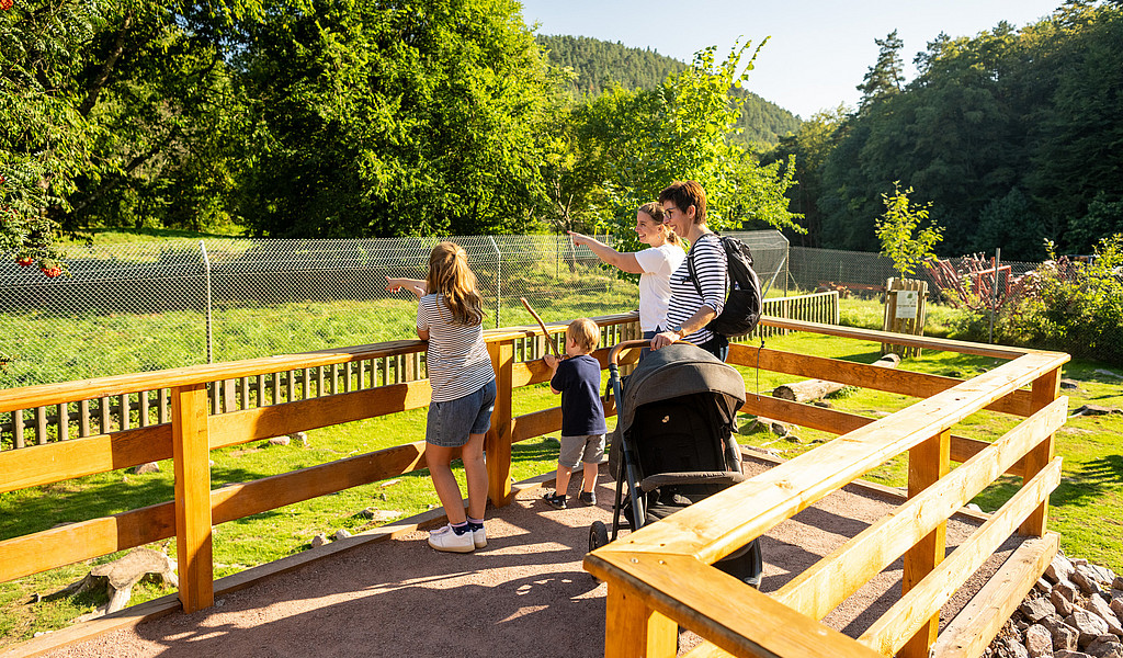Wild- und Wanderpark Südliche Weinstraße