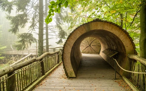 Holsteg und Tunnel des Wilden Weges