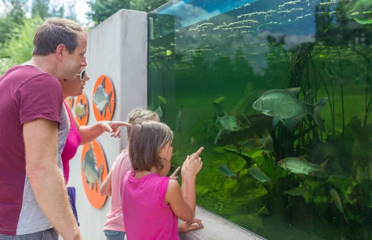Ob Wasser, Wald oder Wiese, die LBV-Umweltstation am Rothsee bietet spannende und informative Expeditionen in verschiedene Lebensräume. Ob Wasser, Wald oder Wiese, die LBV-Umweltstation am Rothsee bietet spannende und informative Expeditionen in verschiedene Lebensräume.