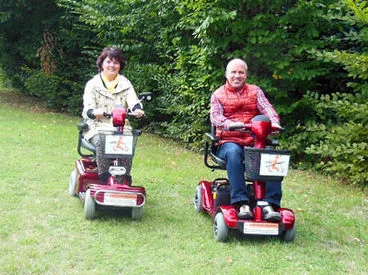 Elektromobile auf Wiese