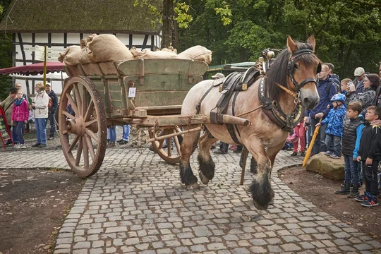 Pferdewagen können Besucher im Herbst bei der Veranstaltung "Nach der Ernte" begegnen Ein Pferd, das einen Wagen voll Stroh zieht