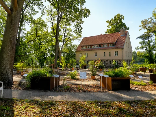 Duftende Kräuter, unterfahrbare Pflanzkästen, Informationen in Brailleschrift: Der Garten des Buches in Lindow (Mark) ist ein Vorzeigebeispiel für Inklusion. Foto: Brandenburgische Seenplatte GmbH Duftende Kräuter, unterfahrbare Pflanzkästen, Informationen in Brailleschrift: Der Garten des Buches in Lindow (Mark) ist ein Vorzeigebeispiel für Inklusion. Foto: Brandenburgische Seenplatte GmbH