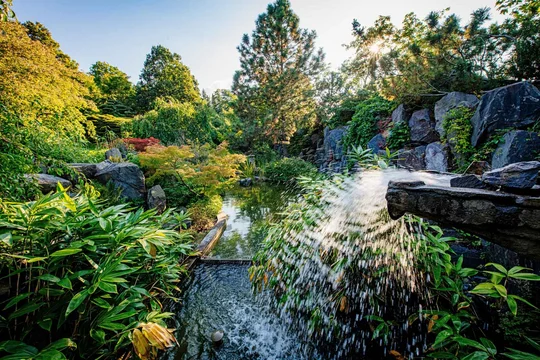 Am 7. Juni ist im Japanischen Garten im egapark das Japanische Gartenfest zu erleben. Am 7. Juni ist im Japanischen Garten im egapark das Japanische Gartenfest zu erleben.