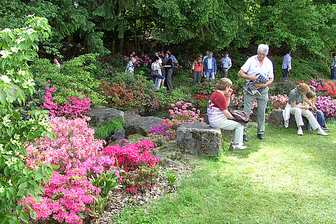 Besucher sitzen im blühenden Rhododendronpark
