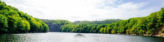 Vom Schiff auf dem Rursee hat man gute Sicht auf den Nationalpark Eifel. Vom Schiff auf dem Rursee hat man gute Sicht auf den Nationalpark Eifel.