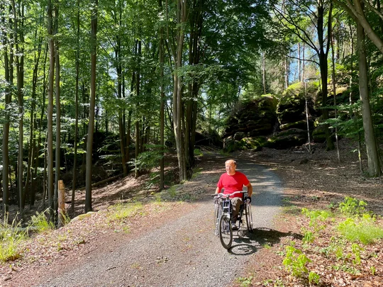 Die Tour „Rund um die Hohe Liebe“ führt Rollstuhlfahrer auf einsamen Wegen mitten durch den Nationalpark Sächsische Schweiz. Die Tour „Rund um die Hohe Liebe“ führt Rollstuhlfahrer auf einsamen Wegen mitten durch den Nationalpark Sächsische Schweiz.