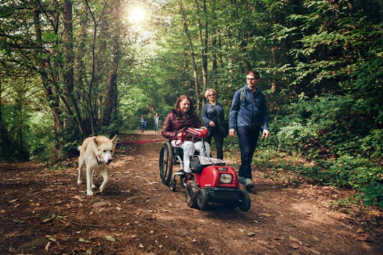 Auf dem Keschdeweg können Rollstuhlfahrer an der Südlichen Weinstraße barrierefrei wandern Rollstuhlfahrerin mit Hund wandert durch den Wald