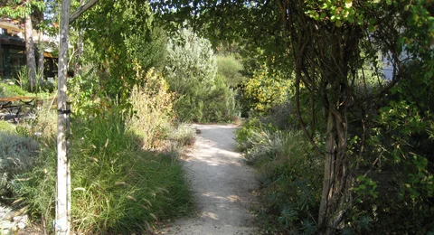 Einblick in den Mediteranen Garten in Maikammer