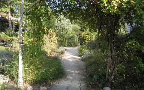 Einblick in den Mediteranen Garten in Maikammer